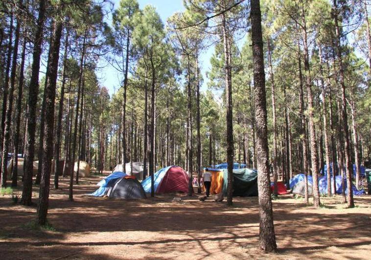 La zona de acampada y el área recreativa de Tamadaba se reabren Canarias7